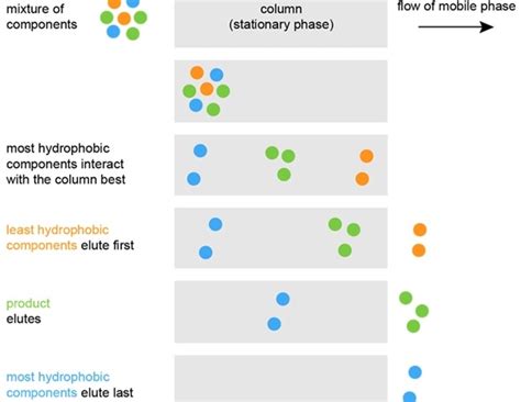 Reversed-Phase Chromatography: An Overview