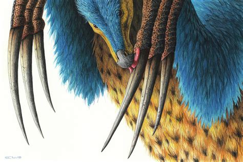 Close-up Of Therizinosaurus Hand Claws Photograph by Esther van Hulsen ...