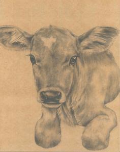 how to draw a cow's head realistic - Google Search | Cow art, Animal ...