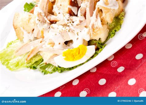 Meat salad stock photo. Image of food, lunch, dishware - 27902246