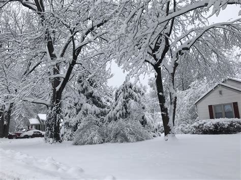 Winter 2019 | Snowfall, Winter, Kansas city