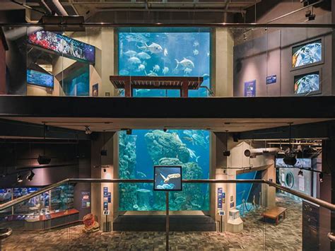 Where Is The South Carolina Aquarium - Aquarium Views