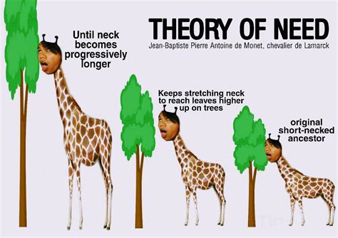 "Class, gagawa kayo ng educational poster about sa theories ni Lamarck. Isa lang pipiliin niyo ...