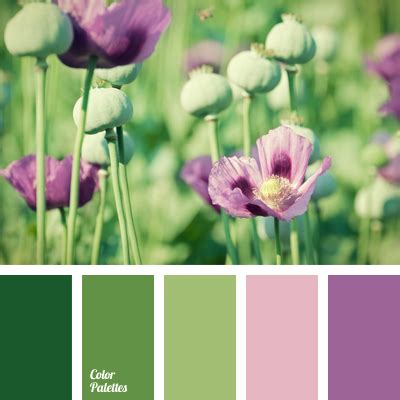 contrasting combination of pastel colors | Color Palette Ideas