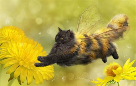 Cats With Wings Wallpapers - Wallpaper Cave