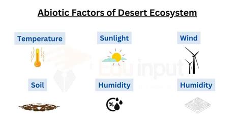 Biotic And Abiotic Factors Of Desert Ecosystem