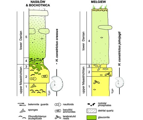 The Cretaceous-Paleogene boundary interval in the combined Nasiłów and... | Download Scientific ...