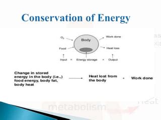 Transfer of energy in human body | PPT