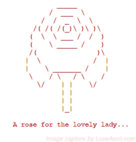 rose text art copy and paste - carhdwallpapersphone