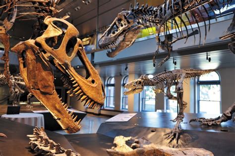 Dinosaur Hall | Natural History Museum