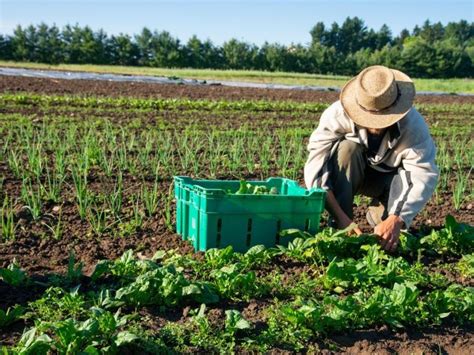 What is Organic Farming? - Earth.Org Kids