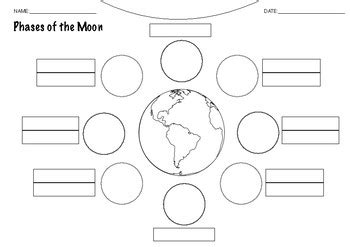 Phases of the Moon Worksheet by Rosie Smith | TPT