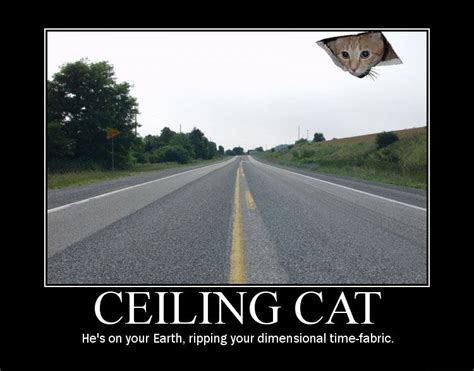 [Image - 8046] | Ceiling Cat | Know Your Meme