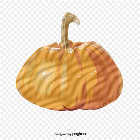 White Pumpkin Hd Transparent, White Pumpkin, Pumpkin Vector, Creative, White PNG Image For Free ...