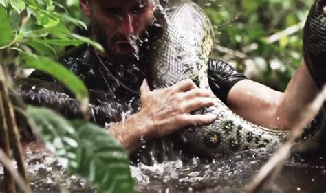 Paul Rosolie Eaten Alive by Anaconda: Watch Video of Man Eaten by Giant ...