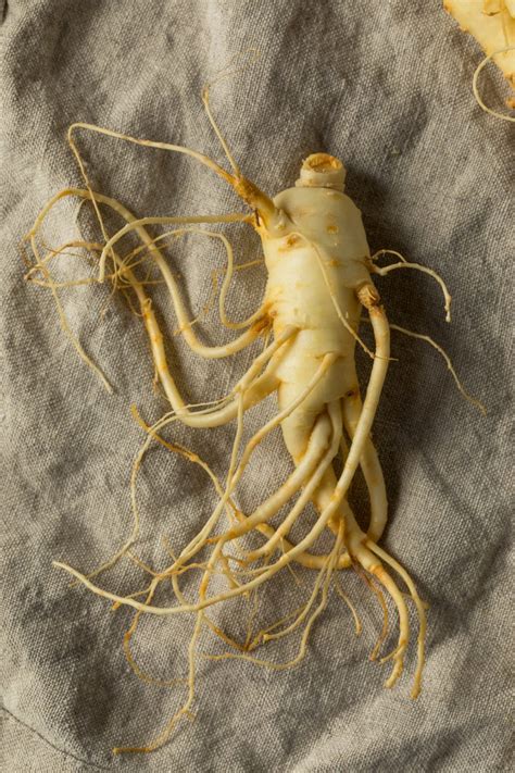 How To Grow Ginseng Seeds – GeniusWriter