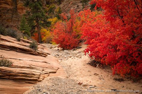 Southern Utah Fall Colors | Action Photo Tours | Utah Photo Tours