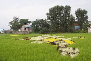 Roving Light TravelPhotoBlog: Rice Paddy Field Art