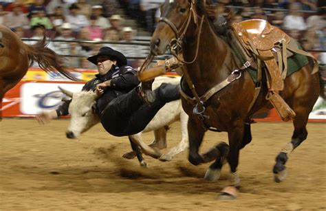 Rodeo Cowboys - Bing Images | National finals rodeo, Rodeo cowboys, Rodeo