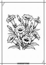Printable Gentiana Coloring Pages Free PDF  Flower Page sketch template