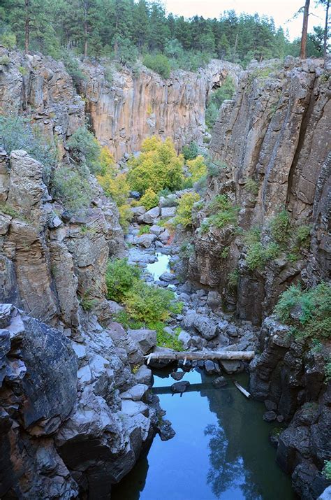 Kaibab National Forest - Special Places | Arizona travel, Arizona road ...