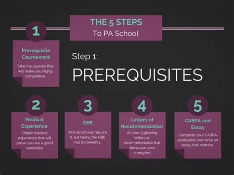 PA School Prerequisites | Which Classes to Take to Get Into PA School ...