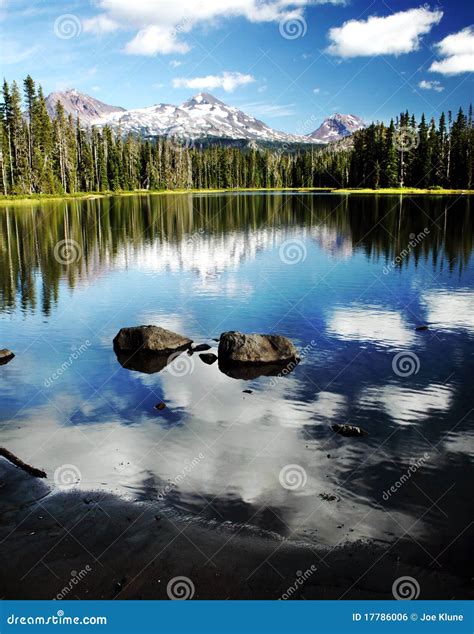 Oregon portrait stock photo. Image of wilderness, forest - 17786006