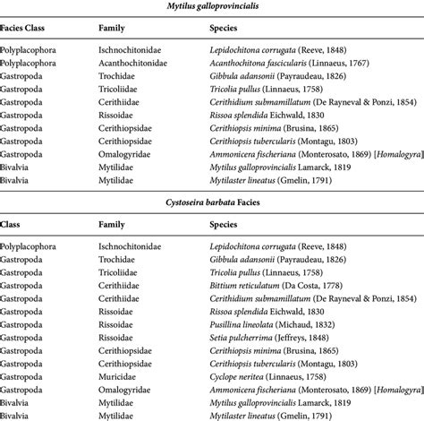 List of the mollusk species collected in both facies and their... | Download Table