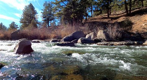 South Platte River | Mike and Rick Outdoors