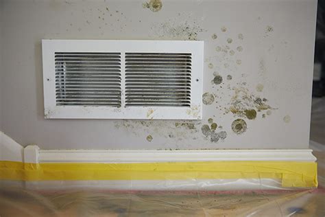 HVAC Mold Removal – What to Do | RestorationMaster Finder