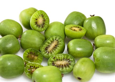 16 Kiwifruit Varieties (Different Varieties of Kiwi Fruit) - ChowTray