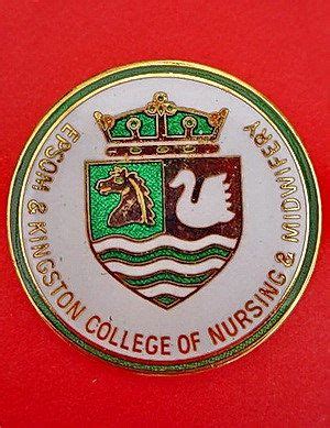 Coombe Hospital (Dublin) Badge | Nurse, Badge, School badges