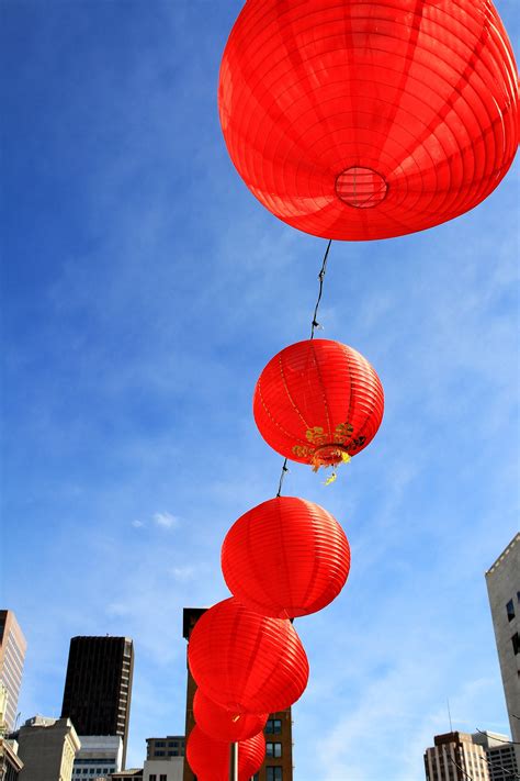 Free Images : sky, flower, hot air balloon, aircraft, san francisco ...