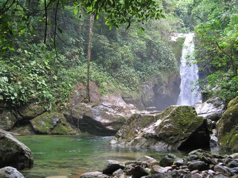 Pico Bonito National Park - Honduras Travel