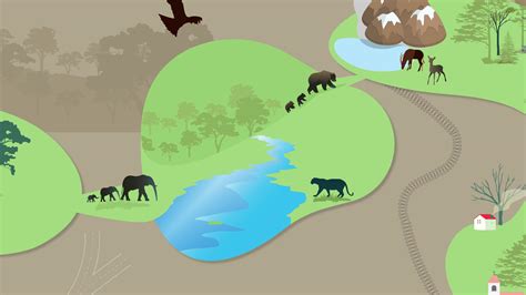 Wildlife Corridors Explained | RoundGlass | Sustain