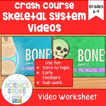 Crash Course- A&P: Skeletal System Video Worksheet- BUNDLE! | TpT