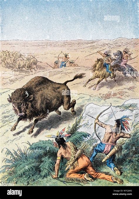 Native indians hunting buffalo hi-res stock photography and images - Alamy