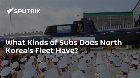 What Kinds of Submarines Does North Korea's Fleet Have?