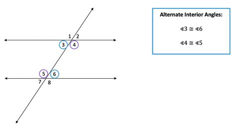 Transversals and Parallel Lines: Geometry - Math Lessons