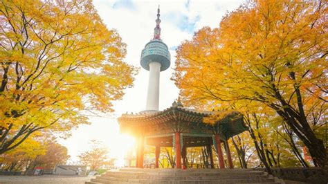 Korea Culture Experience Tour – Vexplore Tours