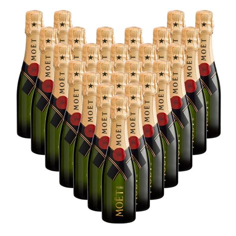 Moet Chandon Brut NV Mini Moet Champagne 20cl With Gold Flute 24 Pack | ubicaciondepersonas.cdmx ...