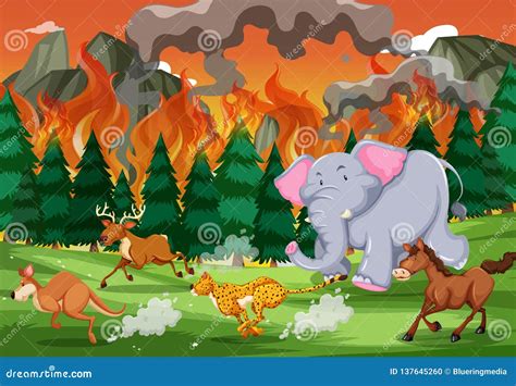 Wild Animals Run Away from Wildfire Stock Vector - Illustration of deer ...