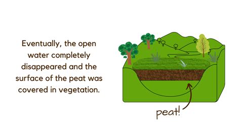 What is Peat? - American Peat Tech