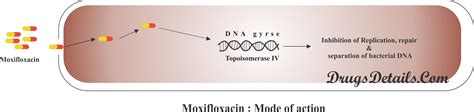 Moxifloxacin - Drugs Details