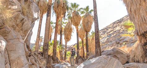 All-Inclusive Palm Springs Hiking Trails From Easy To Difficult Hike ...