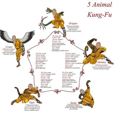 Shaolin Kung-Fu | Kung fu martial arts, Martial arts styles, Martial arts techniques