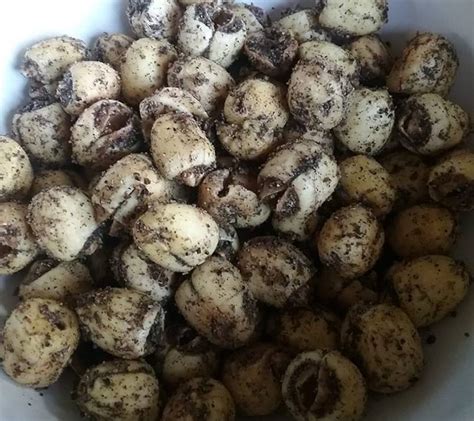 Roasted lotus seeds: medicinal, healthy, snack recipe (foodie friday) – low histamine ...