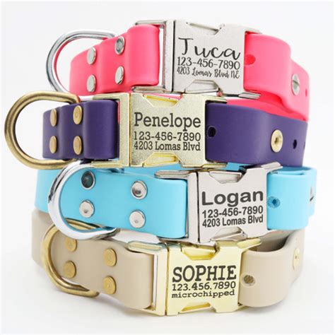 Personalized Collars - Dog Collars | Personalized Dog Collars | Dog Jewelry | Leather Dog Collars