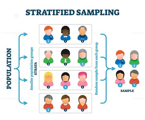 Stratified sampling example, vector illustration diagram – VectorMine ...