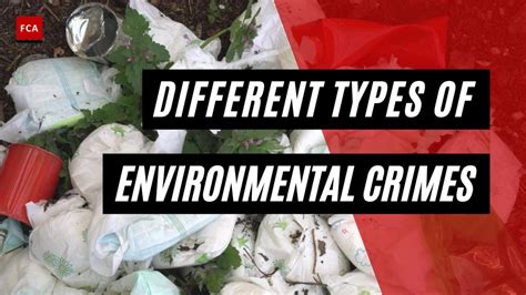 What Are The Different Types Of Environmental Crimes?